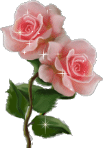 pinkrose.gif